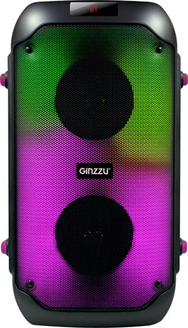 фото: Акустика Ginzzu GM-234