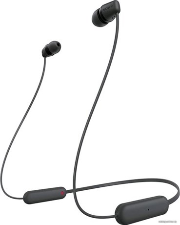фото: Наушники Sony WI-C100 черный