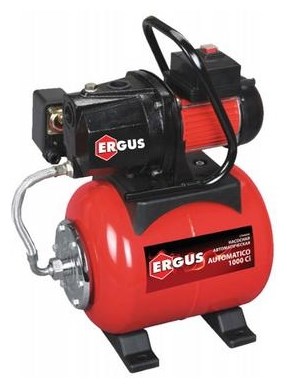 фото: ERGUS Automatico 1000 Ci
