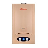 фото: THERMEX G 20 D Golden brown