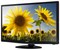 фото: Samsung LT24D310EX