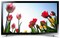 фото: Samsung UE32F4500AK