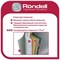 фото: Кастрюля Rondell Rondel ArtDeco RDA-1254 4.8 л