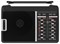 фото: Радиоприемник Ritmix RPR-190
