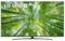 фото: Телевизор LG 75UQ81009LC