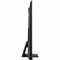 фото: Телевизор Hisense 75U8KQ
