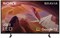 фото: Телевизор Sony KD-75X80L