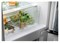 фото: Холодильник Electrolux ENT6NE18S