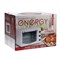 фото: Минипечь Energy GT20-W-CONV