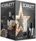 фото: Блендер Scarlett SC-HB42M45
