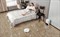 фото: Пылесос Honor Choice Robot Cleaner R2s Plus ROB-01s