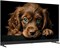 фото: Телевизор TopDevice TV 55 QLED DQ08 (TDTV55DQ08U_BK)