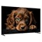 фото: Телевизор TopDevice TV 55 QLED CQ08 (TDTV55CQ08U_BK)