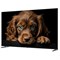 фото: Телевизор TopDevice TV 55 QLED CQ08 (TDTV55CQ08U_BK)