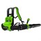 фото: Воздуходувка Greenworks GD40BPG2 40V