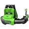 фото: Воздуходувка Greenworks GD40BPG2 40V