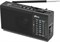 фото: Радиоприемник Ritmix RPR-155