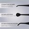фото: Ирригатор Polaris PWF 0201 черный