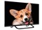фото: Телевизор TopDevice TV 24 SMART TV YаOS CS03(TDTV24CS03H_BK)