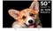 фото: Телевизор TopDevice TV 50 SMART TV YаOS CS03 (TDTV50CS03U_WE)