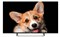фото: Телевизор TopDevice TV 50 SMART TV YаOS CS03 (TDTV50CS03U_BK)