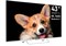 фото: Телевизор TopDevice TV 43 SMART TV YаOS CS03 (TDTV43CS03U_WE)