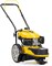 фото: Газонокосилка CHAMPION LMH5629