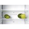 фото: Холодильник Graude IK 180.0