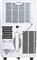 фото: Мобильный кондиционер Electrolux Bliss Art EACM-09 GT/N6