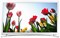 фото: Samsung UE22F5410AK